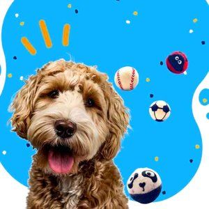 Eco Dog Balls